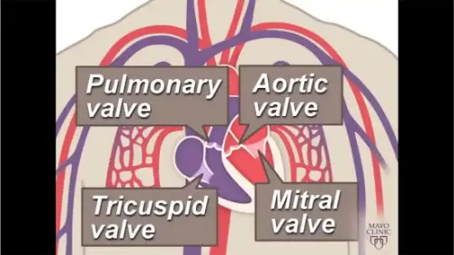 Watch this video from Mayo Clinic on YouTube
