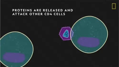 Watch this video from National Geographic on YouTube