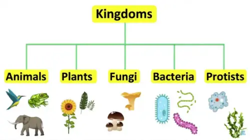 Watch this video from Sci-ology on YouTube