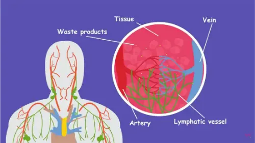 Watch this video from  on YouTube