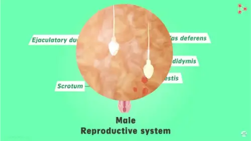 Watch this video from Infinity Learn NEET on YouTube