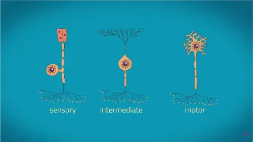 Watch this video from Cognito on YouTube