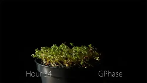 Watch this video from Erin on YouTube