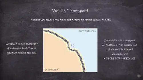 Watch this video from Sci-ology on YouTube