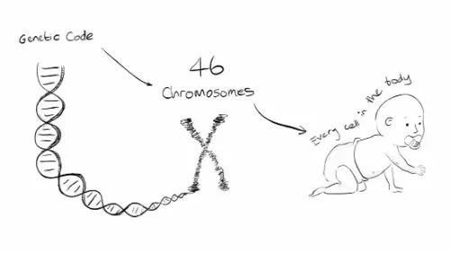 Watch this video from Turner syndrome support society on YouTube