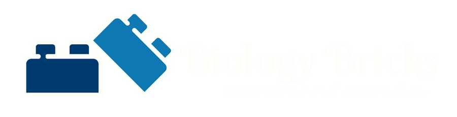Biology Bricks Logo