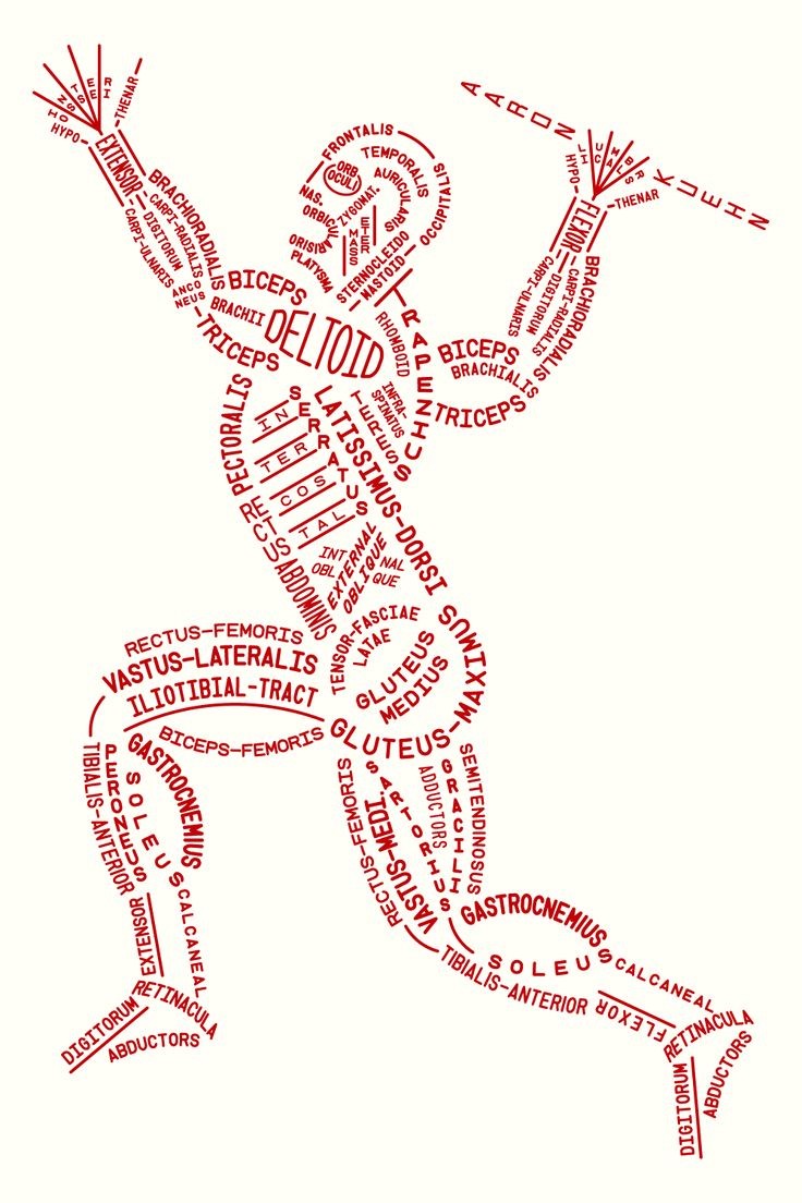 A body word graph of the human body.