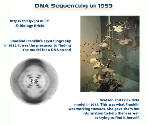 DNA sequencing found by four scientists